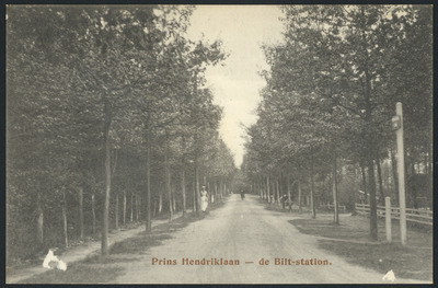 17100 Gezicht in de Prins Hendriklaan te Bilthoven (gemeente De Bilt).